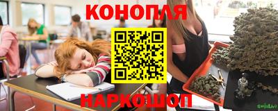 гашик Будённовск