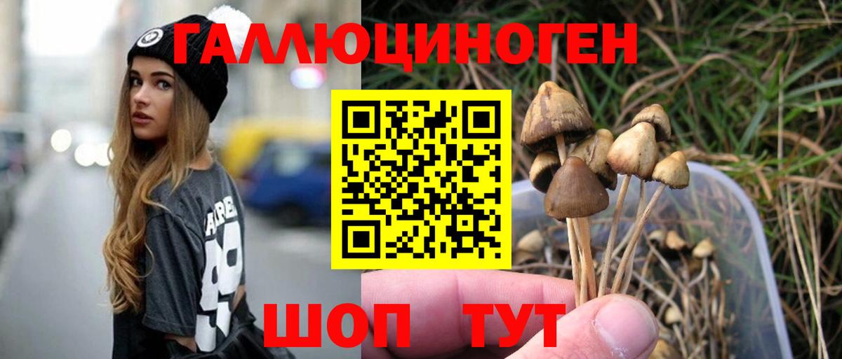 Ахтубинск  Псилоцибиновые грибы мицелий  Вход с VPN 